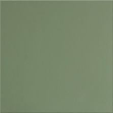 Плитка из керамогранита 60х60 UF007MR зеленый моноколор Матовый Рект для стен и пола, универсально 60x60