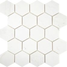 Мозаика HEXAGON VMwP 30,5x30,5