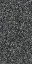 Плитка из керамогранита SG594202R Палладиана тёмный декорированный. Универсальная плитка (119,5x238,5)