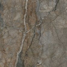 Плитка из керамогранита DL013100R Сильвер Рут серый обрезной для пола 119,5x119,5