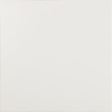 Керамическая плитка Nautilus D-Color White для пола 40,2x40,2