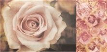 Керамическая плитка ARKADIA Decor Flower Декор 10x20