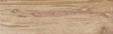 Плитка из керамогранита Maplewood глаз коричневый 16692 для стен и пола, универсально 18,5x59,8