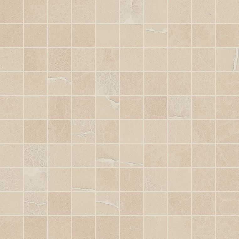Мозаика ПРОДЖЕКТ 600110000210 ШАРМ ЭВО ОНИКС 30,5x30,5
