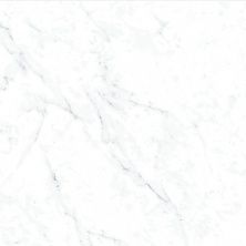 Плитка из керамогранита 6000407 I Marmi Carrara для стен и пола, универсально 60x60