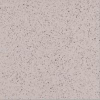 Плитка из керамогранита Техногрес светло-серый для стен и пола, универсально 30x30