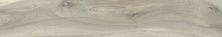 Плитка из керамогранита Pav KAURI CATLINS Lap Ret 075076 для пола 20x120