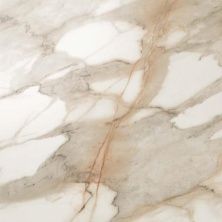 Плитка из керамогранита marble 610015000189 S M Calacatta Gold Lap для пола 59x59