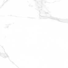 Плитка из керамогранита Regio Apuane White Pulido для стен и пола, универсально 59,55x59,55