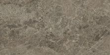 Плитка из керамогранита 610010001912 Виктори Таупэ для стен и пола, универсально 80x160
