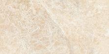 Плитка из керамогранита Ambassador CV20220 Emperador Beige Glossy для стен и пола, универсально 60x120