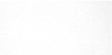 Керамическая плитка Salvia TWU09MNR020 Monocolor для стен 24,9x50