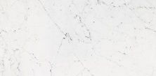 Плитка из керамогранита 100226490 Bianco Pul для стен и пола, универсально 58,6x118,7