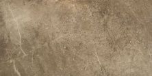 Плитка из керамогранита CAN5MONLEDAA Monolith Noce Rect для стен и пола, универсально 59,5x120
