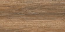 Плитка из керамогранита Винтаж Вуд коричневый 6260-0021 для стен и пола, универсально 30x60