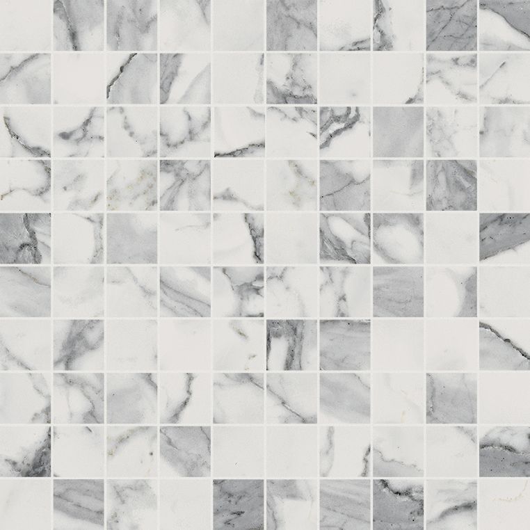 Мозаика ПРОДЖЕКТ 600110000208 ШАРМ ЭВО СТАТУАРИО 30,5x30,5