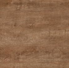 Плитка из керамогранита Rosewood Palissandro Castagno матовый Y2W66093B для пола 60x60