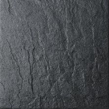 Плитка из керамогранита Рубикон черный TU904300N для стен и пола, универсально 30x30
