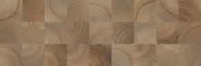 Керамическая плитка Шиен 4Д коричневый структура Декор 25x75