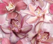Керамическая плитка Spa Porto Flowers Orchide lila Панно 50x60