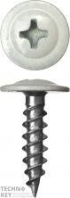 Саморезы по металлу с прессшайбой окрашенные RAL 9003, ЗУБР, МАСТЕР, 300191-42-025-9003