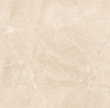 Плитка из керамогранита Elegant Armani Crema Полированный для стен и пола, универсально 60x60