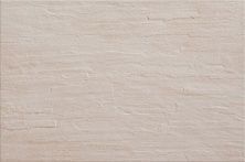 Плитка из керамогранита ADRENALINE BONE для стен и пола, универсально 45,5x67,5