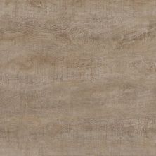 Плитка из керамогранита Rosewood Palissandro Salice матовый Y2W66093C для пола 60x60