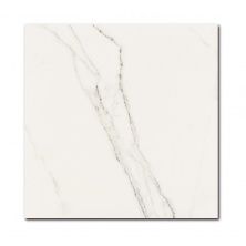 Плитка из керамогранита Precious CALACATTA AMACIADO для стен и пола, универсально 59,2x59,2
