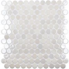 Мозаика Circle 6000 White BR 31x29,5