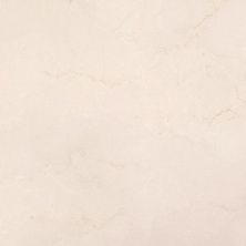 Плитка из керамогранита P1856974 Olimpo Marfil для стен и пола, универсально 59,6x59,6