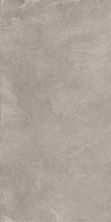 Плитка из керамогранита Вуд DD500200R Про Стоун серый обрезной для пола 60x119,5