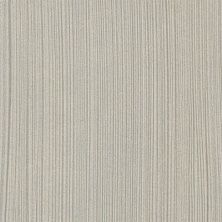Стеновая панель Вышневолоцкий МДОК Риголетто светлый Матовая (2032) 4х600х3050 мм