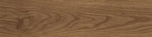 Плитка из керамогранита L4 Italo коричневый для стен и пола, универсально 15,1x60