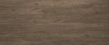 Керамическая плитка R0425H59602 Effetto Wood Grey Dark 02 для стен 25x60