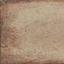 Плитка из керамогранита D Anticatto Marrone для пола 22,5x22,5