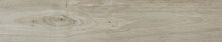 Плитка из керамогранита 110-010-1 Rigel Grey для стен и пола, универсально 23x120