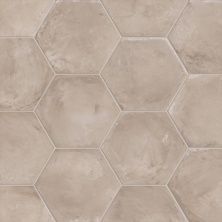 Плитка из керамогранита Terra Grigio Esagonо для стен и пола, универсально 25x21,6