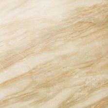 Плитка из керамогранита marble 610015000191 S M Elegant Honey Lap для пола 59x59