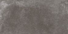 Плитка из керамогранита Lofthouse темно-серый C-LS4O402D для стен и пола, универсально 29,7x59,8