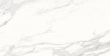 Плитка из керамогранита Calacatta Superb белый полированный для стен и пола, универсально 60x120