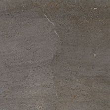 Плитка из керамогранита P1857088 Milano Grafito для стен и пола, универсально 59,6x59,6