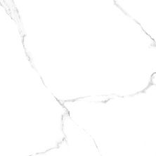 Плитка из керамогранита Vivienne Carrara GFU04CRR00R для стен и пола, универсально 60x60