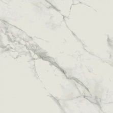 Плитка из керамогранита O-CLM-GGM054 Calacatta Marble белый для стен и пола, универсально 79,8x79,8