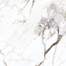 Плитка из керамогранита K949761LPR01VTE0 Marble-X Бреча Капрайа Белый для стен и пола, универсально 60x60