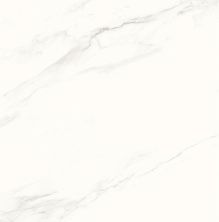 Плитка из керамогранита Calacatta Superb белый матовый для стен и пола, универсально 60x60