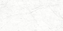 Плитка из керамогранита Splendida CV20187 Carrara Bianco Glossy для стен и пола, универсально 60x120