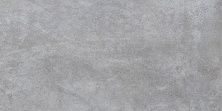 Керамическая плитка Bastion тёмно-серый 08-01-06-476 для стен 20x40