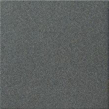 Плитка из керамогранита BASIC 610010000012 Бэзик Титан для стен и пола, универсально 30x30