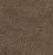 Плитка из керамогранита SG650202R Гран-Виа коричневый светлый лаппатированный. Универсальная плитка (60x60)